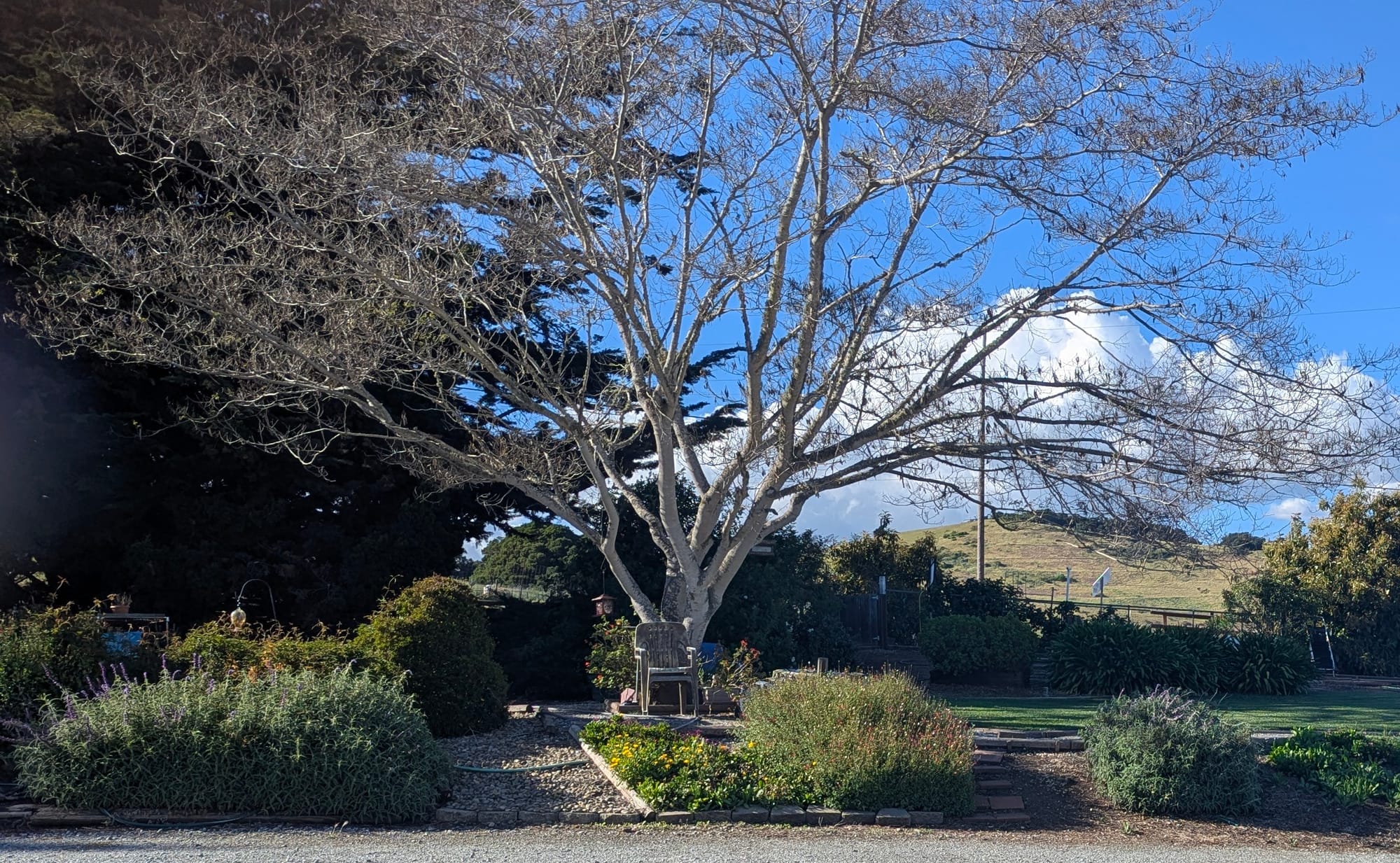 It's Good to Be Home!