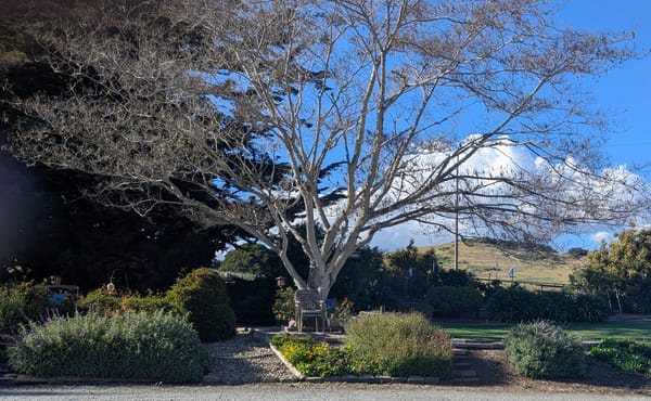 It's Good to Be Home!